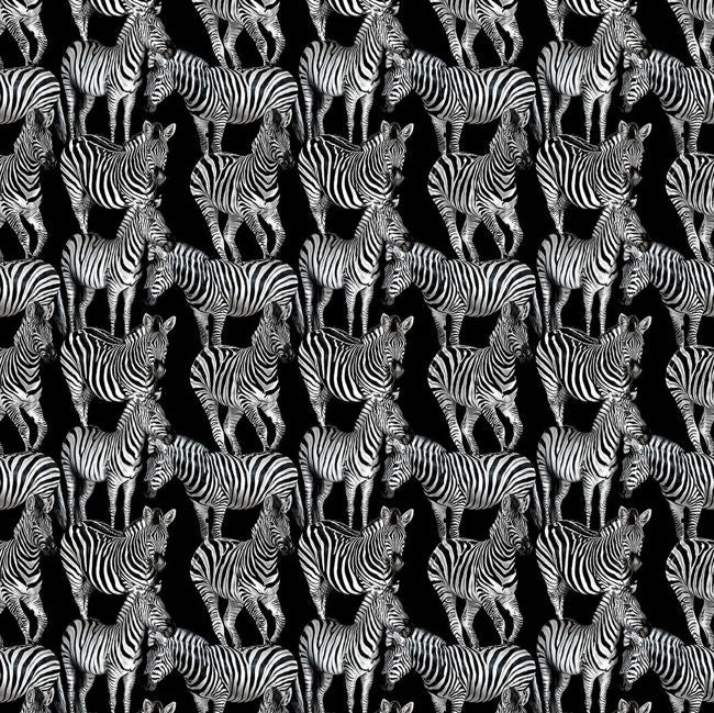 Boxwood Multi Zebra Mural