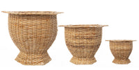 Boxwood Wicker  Planter