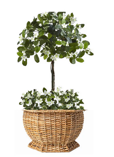 Boxwood Hexagon Wicker Planter