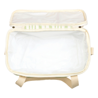 Box Cooler Sage Stripe